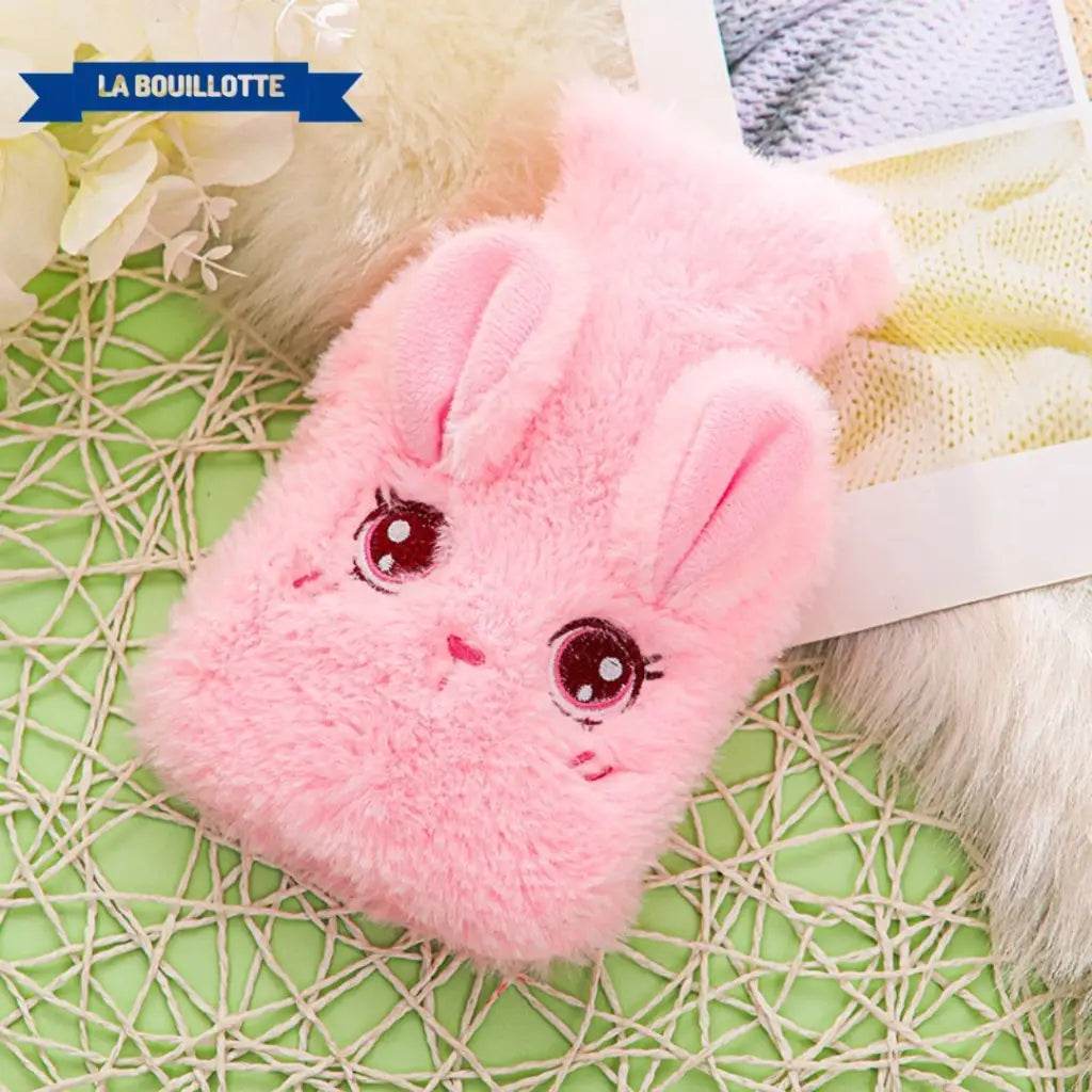 Bouillotte Chauffe Main - La Bouillotte